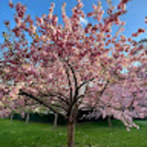 Meet your Posher, Laura c.